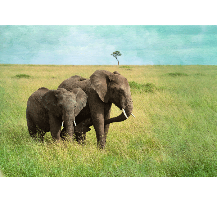 Animal mural elephants in grassland - TenStickers