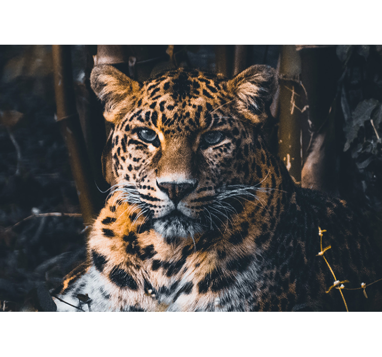 Animal mural majestic leopard portrait - TenStickers