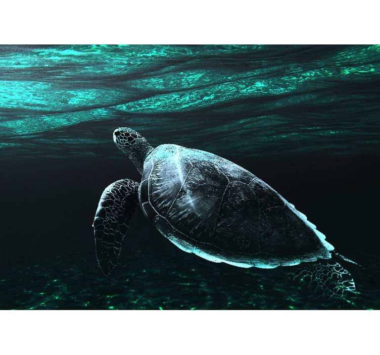 Animal mural majestic sea turtle - TenStickers