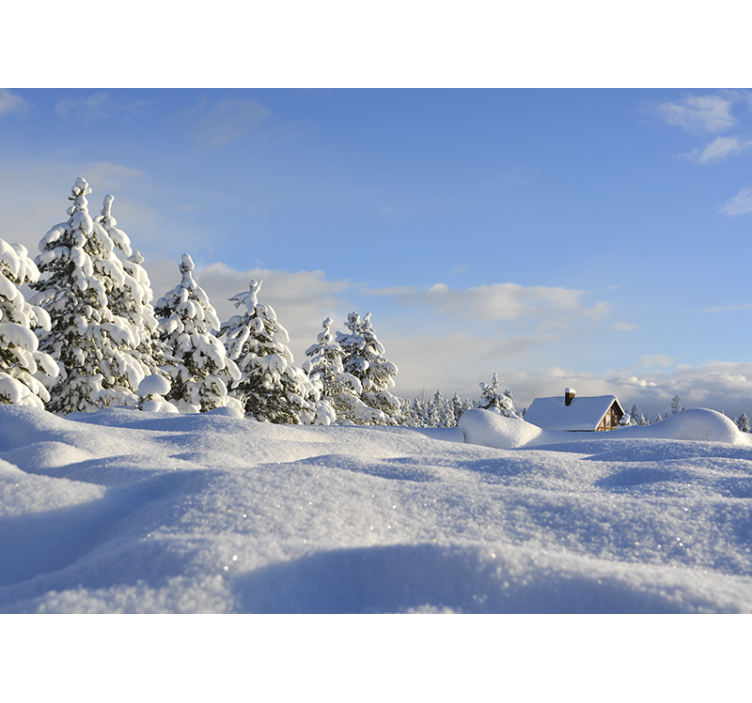 Landscape mural winter wonderland scene - TenStickers