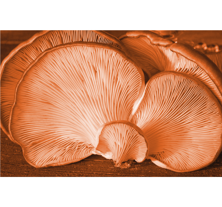 Flower mural with mushroom texture design - TenStickers