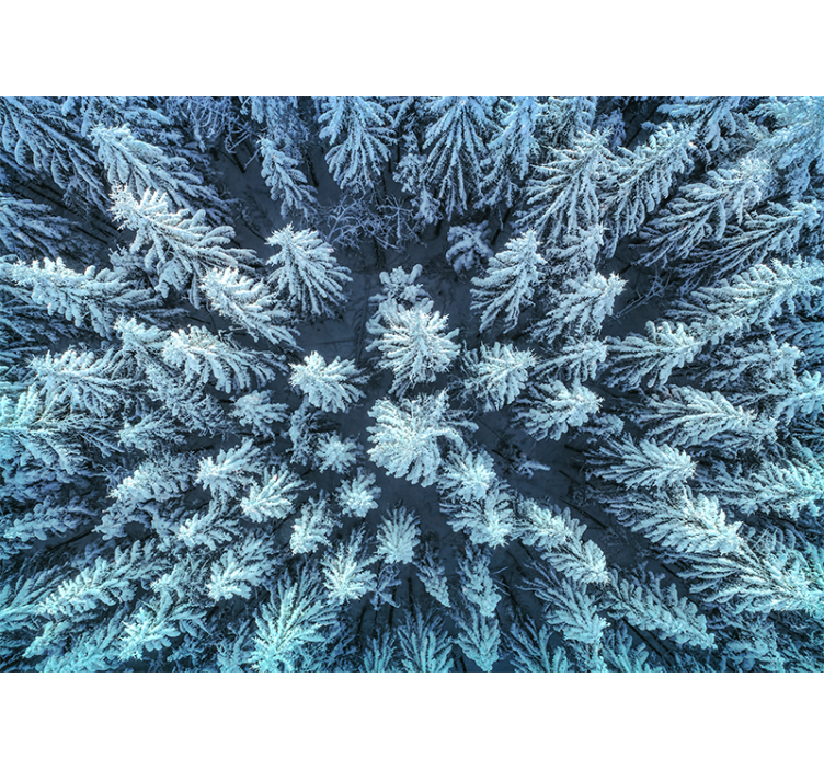 Nature wall mural frozen pine forest - TenStickers