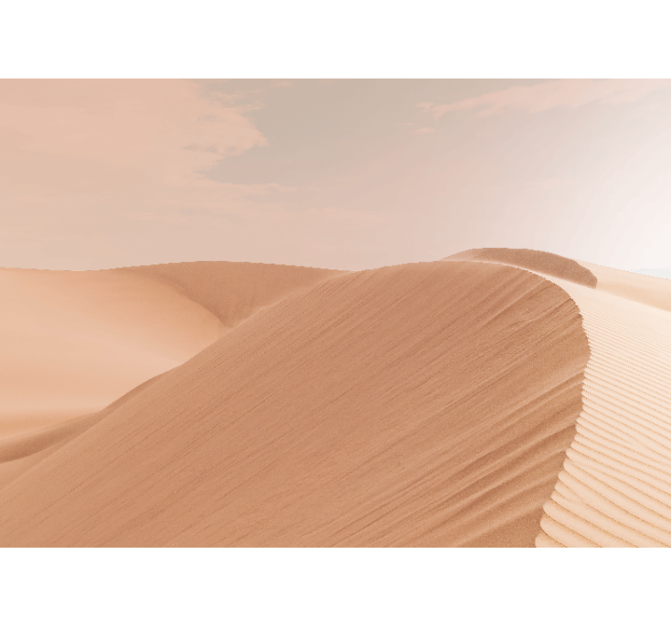Desert wall mural soft sand dunes - TenStickers
