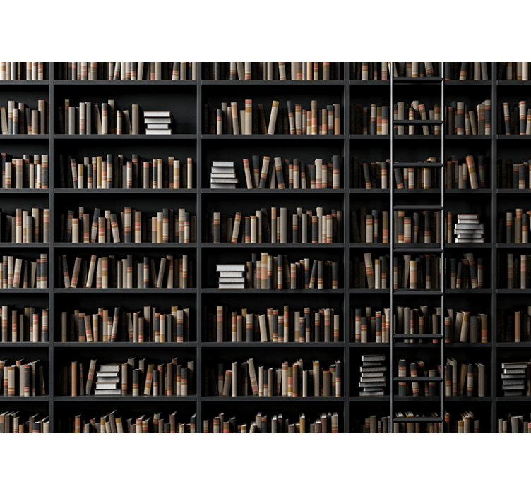 Bookshelves optical illusion 3D Wall Mural - TenStickers