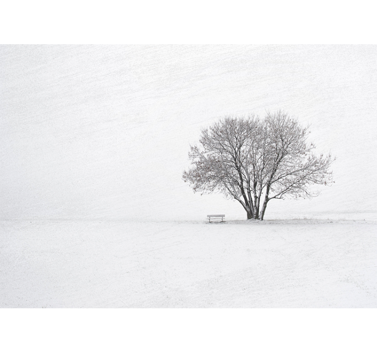 Nature wall mural solitary snowy tree - TenStickers