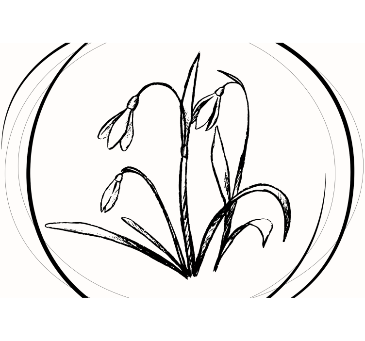 Flower mural snowdrop flower outline - TenStickers