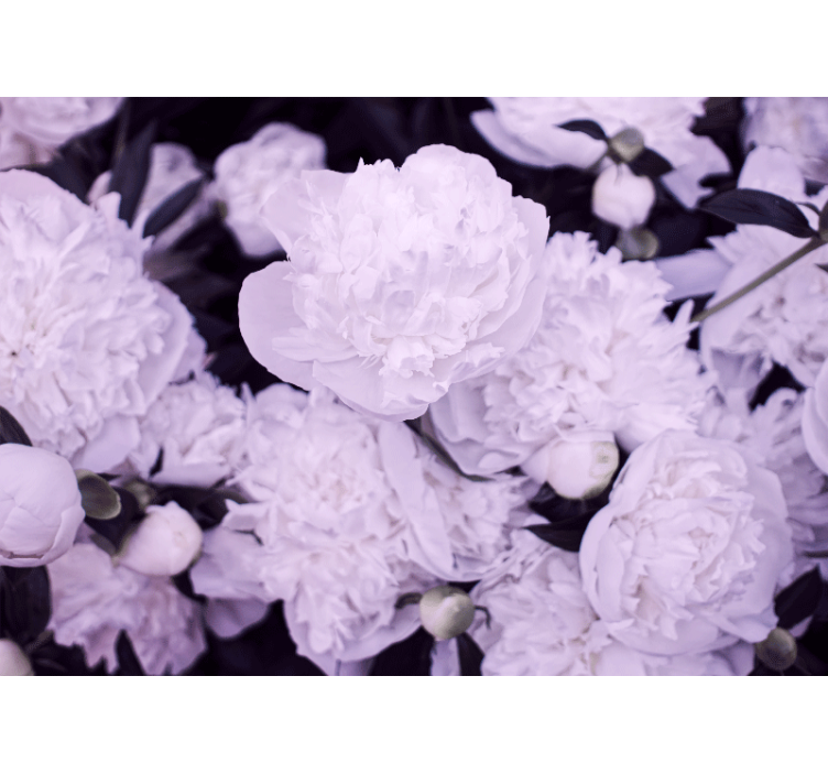 Flower mural lavender peony blooms - TenStickers