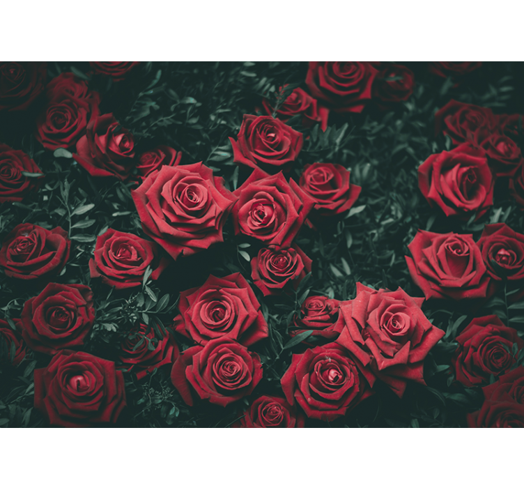 Flower mural romantic red roses design - TenStickers