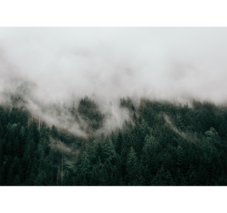 Foggy forest landscape forest wall mural - TenStickers