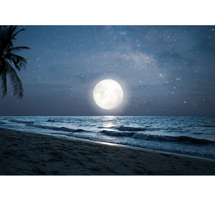 Nature wall mural bright moonlit ocean - TenStickers