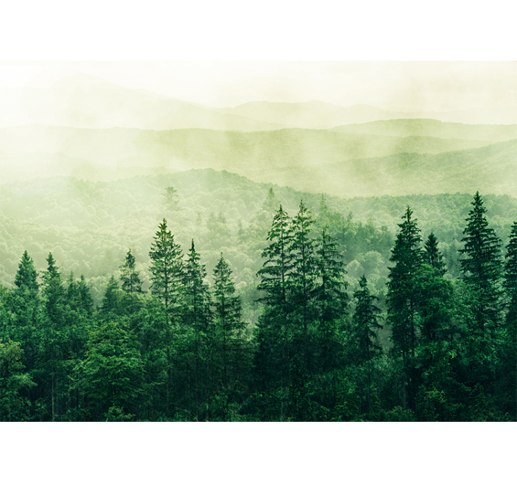 Nature wall mural misty green landscape - TenStickers