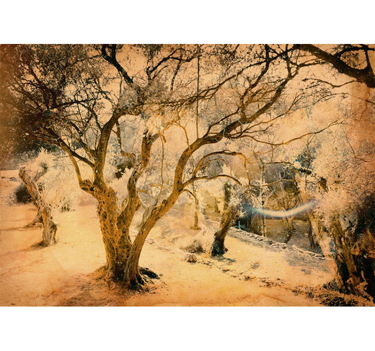 Olive tree detailed mural - TenStickers