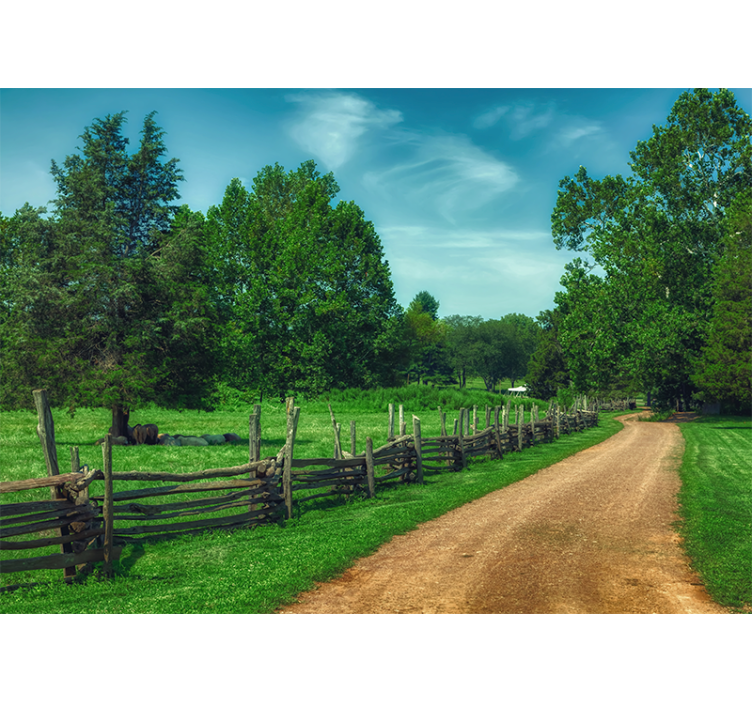Landscape mural vibrant green pathway - TenStickers