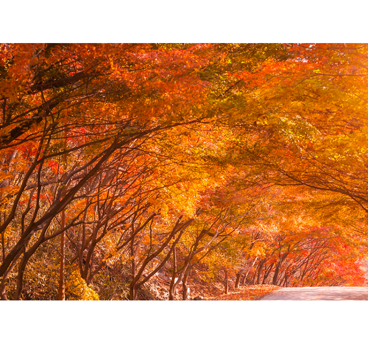Tree orange autumn leaves nature wall mural - TenStickers
