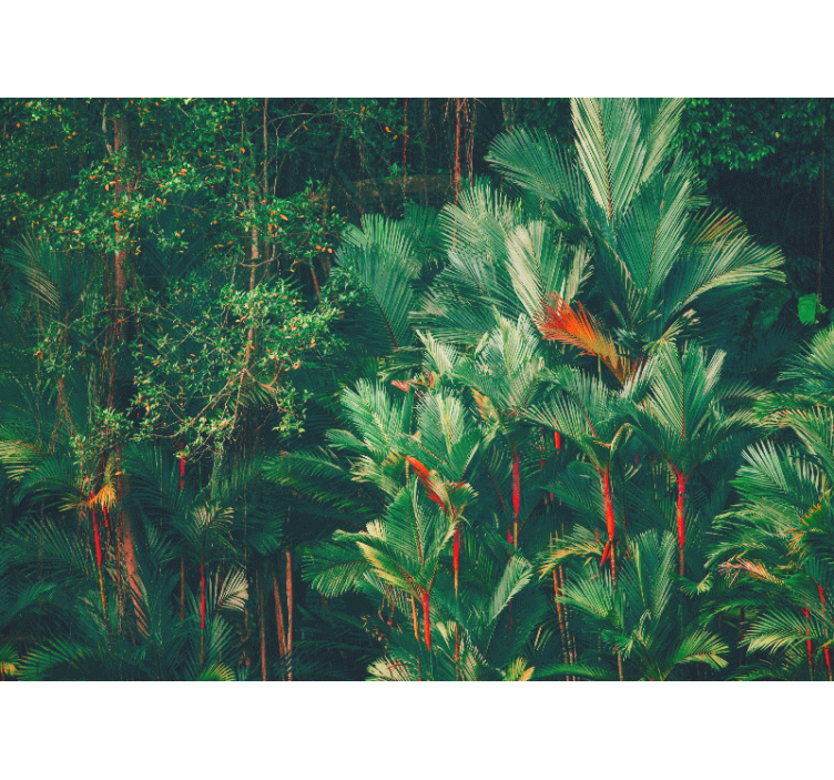 Jungle wall mural tropical palm collection - TenStickers