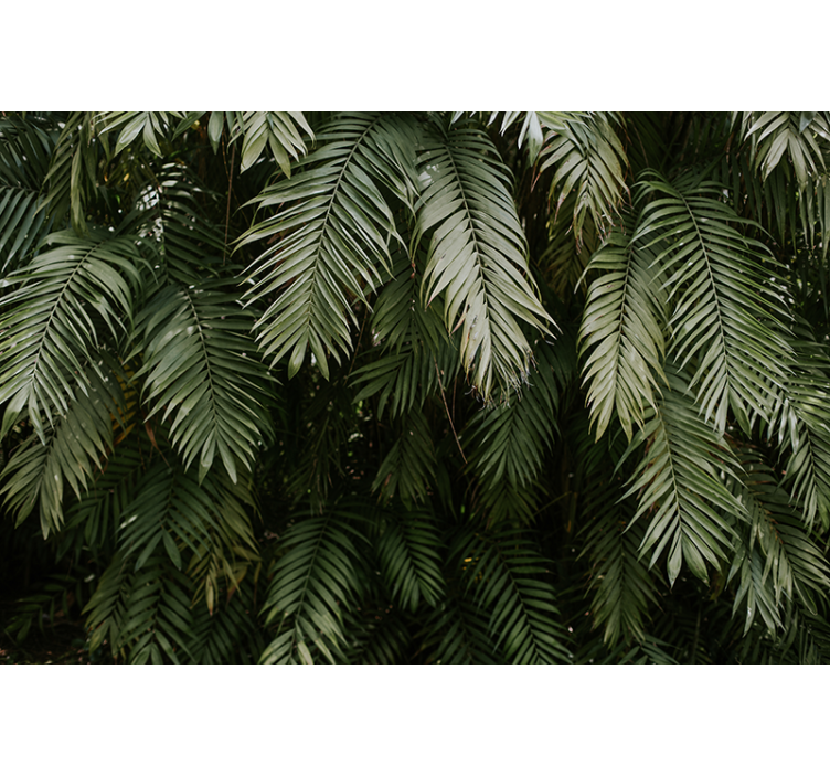 Nature wall mural tropical foliage - TenStickers
