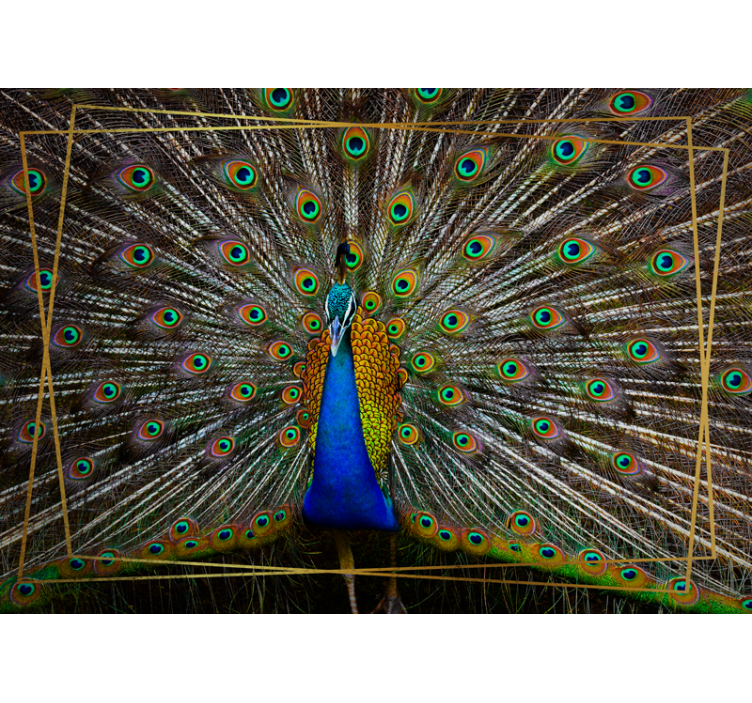 Animal mural regal peacock display - TenStickers
