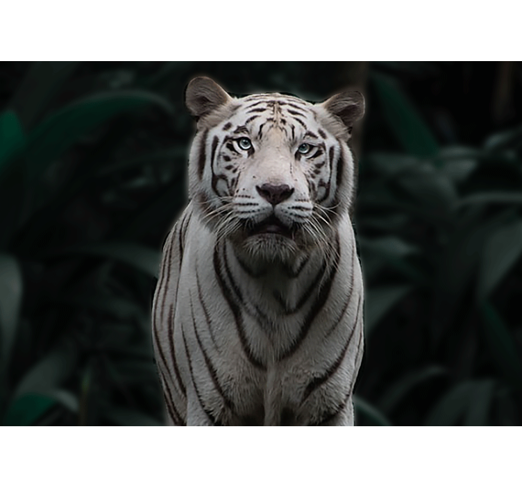 Animal mural regal white tiger - TenStickers