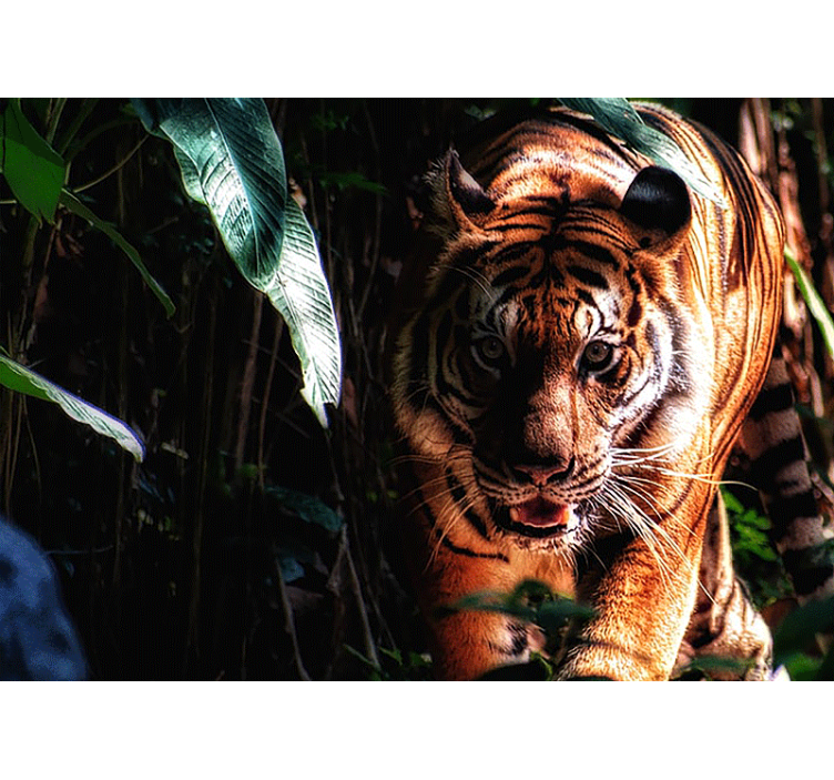 Animal mural majestic tiger stalks - TenStickers