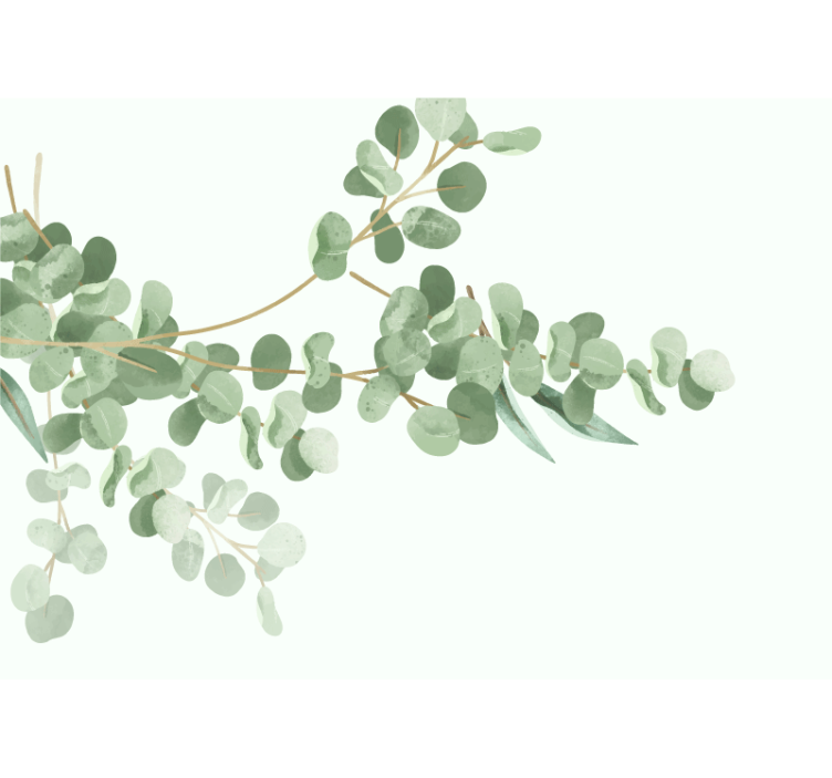 Wall mural eucalyptus leaf arrangement - TenStickers
