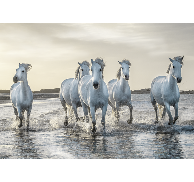 Animal mural galloping white stallions - TenStickers