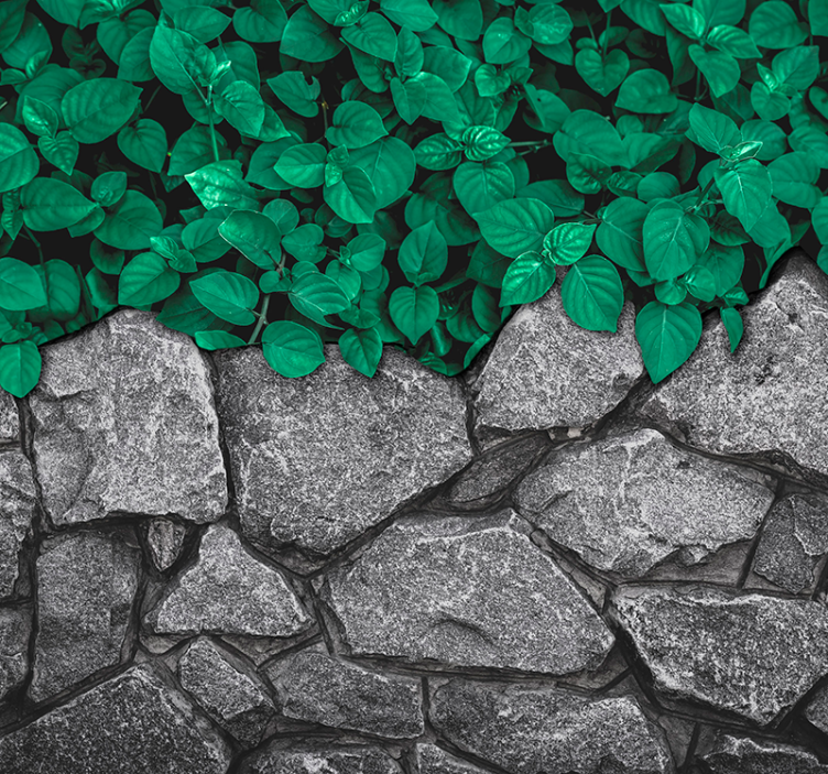 Leaves and stones living room wall mural - TenStickers