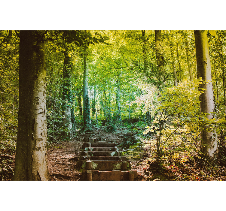 Woodland Path With Stairs Forest Wall Mural - TenStickers