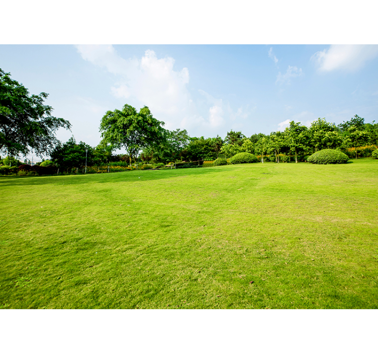 Verdant Meadow Panorama nature wall mural - TenStickers