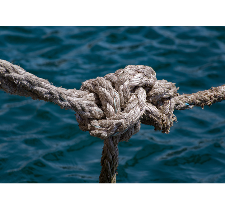 Nautical Knot Strength under the sea mural - TenStickers