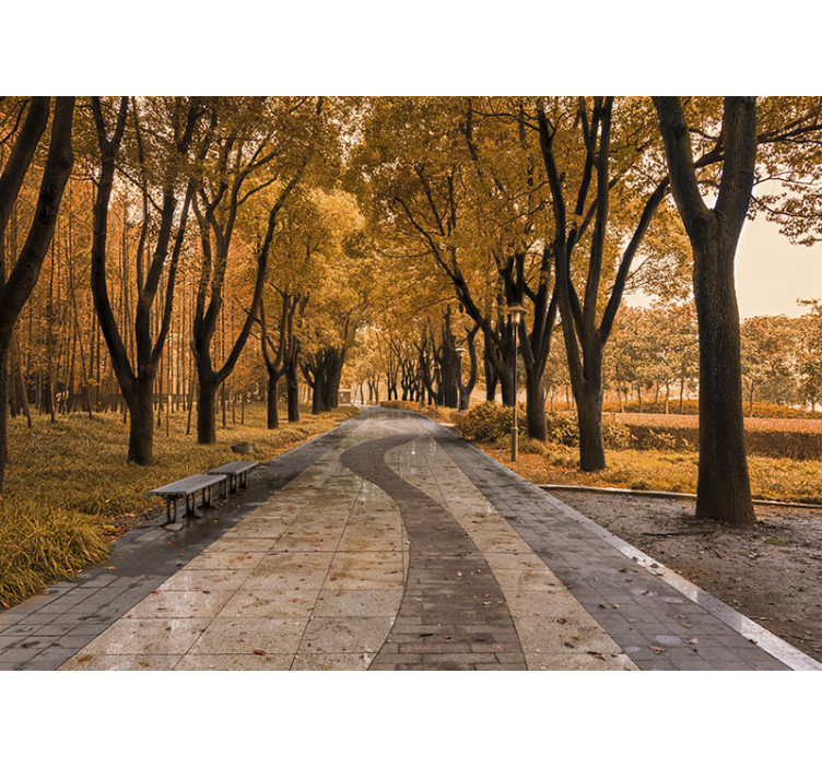 Autumn tree path landscape mural - TenStickers