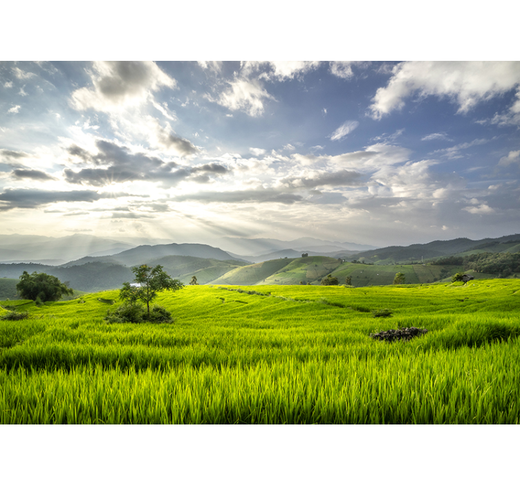 Serene Green Fields landscape mural - TenStickers