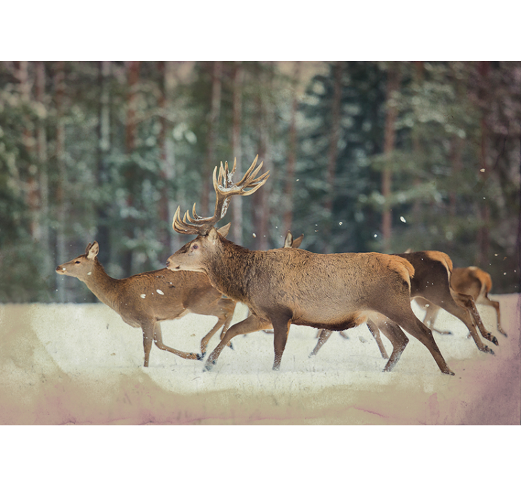 Majestic Deer Herd animal mural - TenStickers