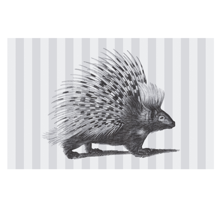 Animal mural porcupine spikes design - TenStickers