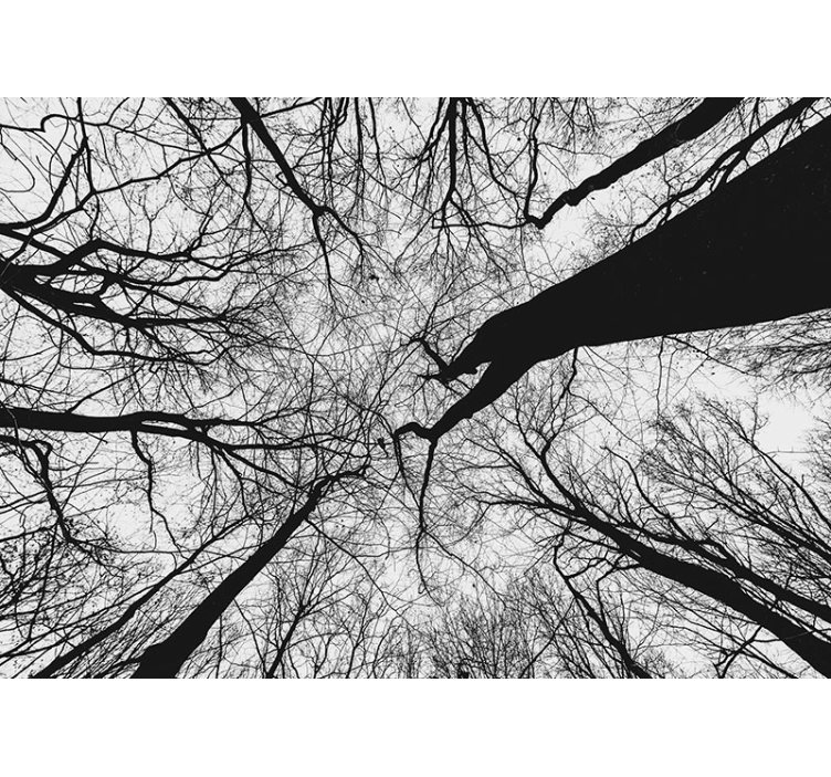 Tree wall mural intertwining branch silhouettes - TenStickers