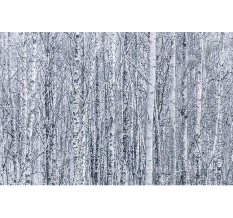 Forest trees black adn white wall  mural - TenStickers