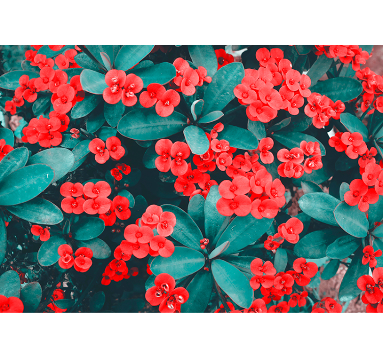 Red Floral Arrangement flower mural - TenStickers