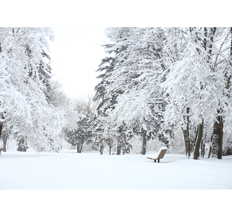 Nature wall mural tranquil winter landscape - TenStickers