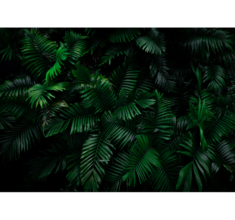 Tropical forest Forest Wall Mural - TenStickers
