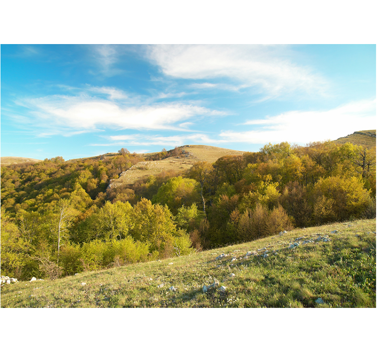 Landscape mural rolling hill scenery - TenStickers