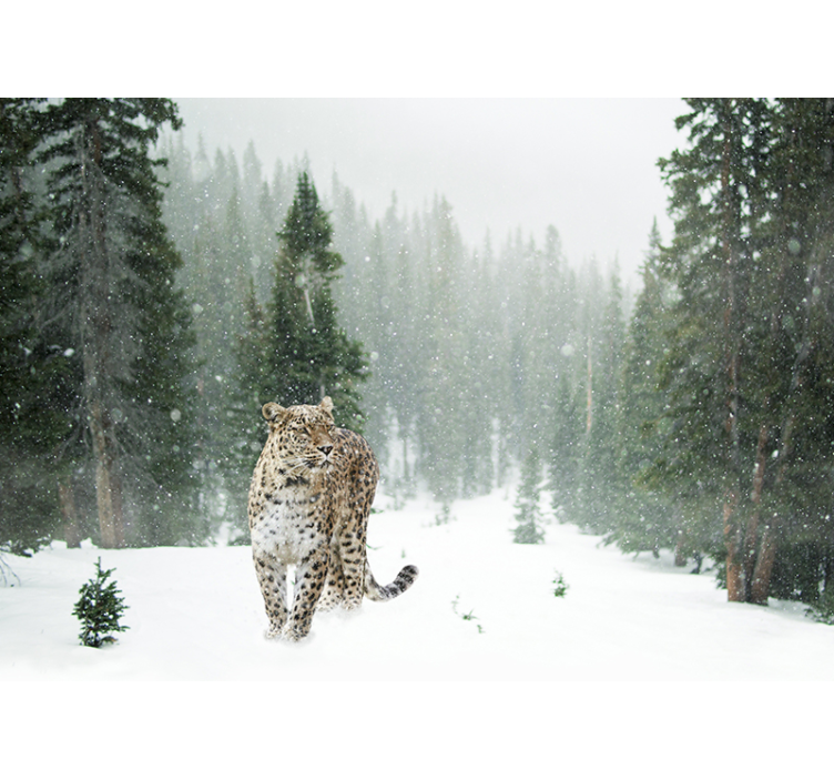 Animal mural snowy leopard walk - TenStickers