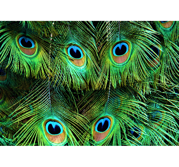 Animal mural peacock feather design - TenStickers