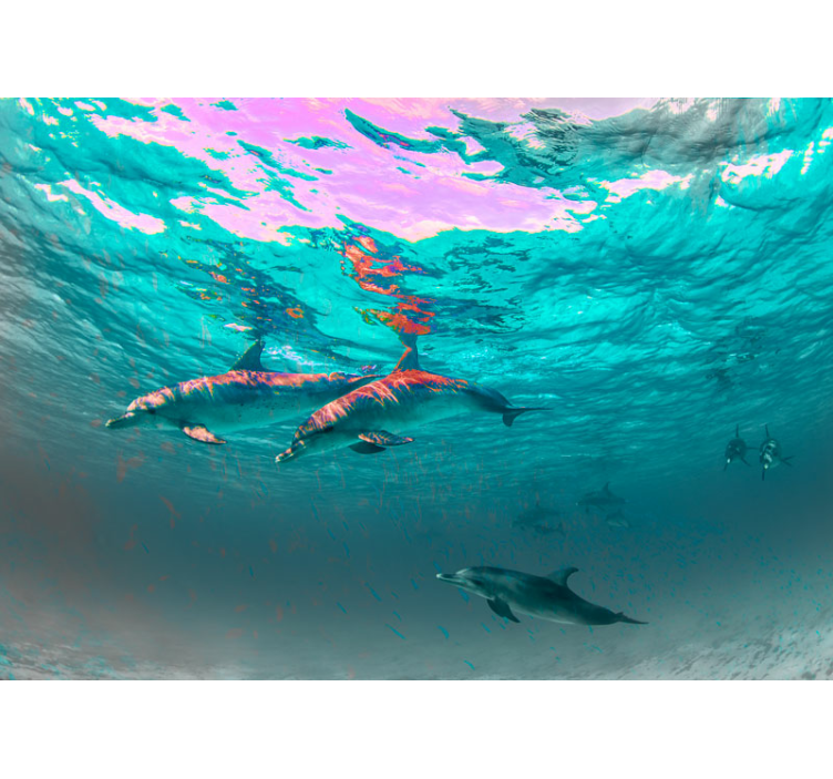 Animal mural dolphins swimming playfully - TenStickers