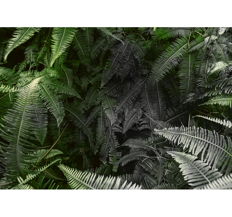 Lush Greenery nature wall mural - TenStickers