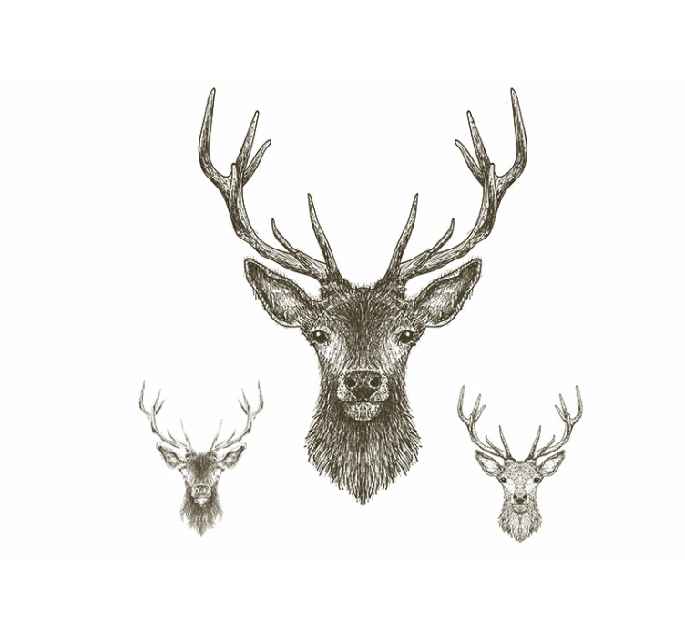 Animal mural stag head art - TenStickers