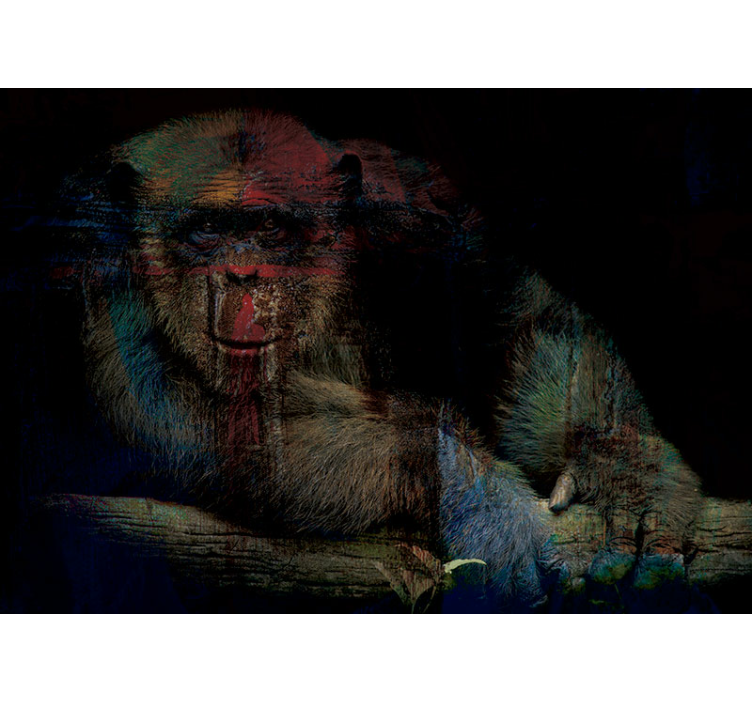 Mysterious Primate Face animal mural - TenStickers