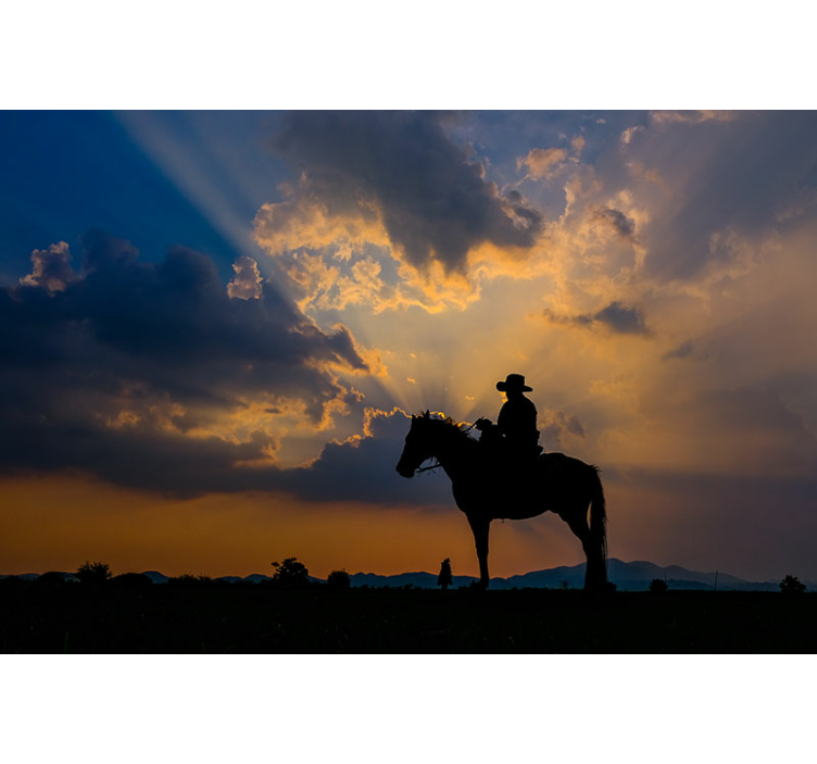 Animal mural rider on horse - TenStickers