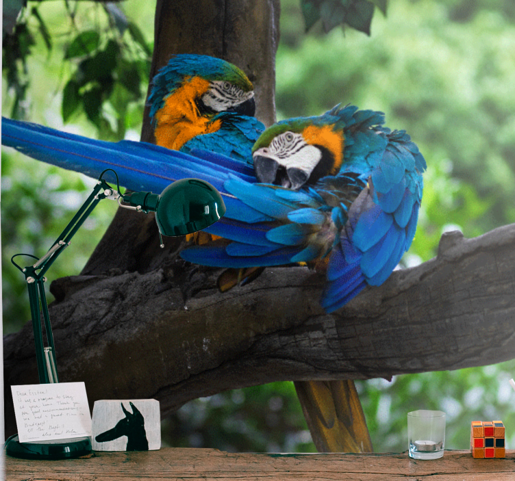 Animal mural colorful macaw pair - TenStickers