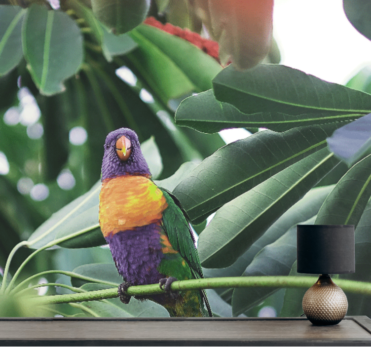 Animal mural colorful parrot perched - TenStickers