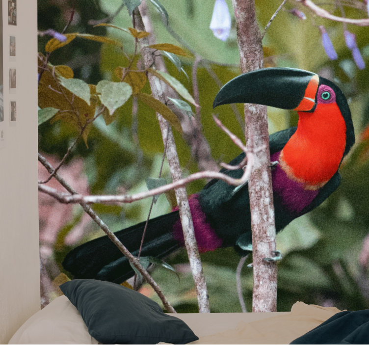 Animal mural colorful toucan display - TenStickers