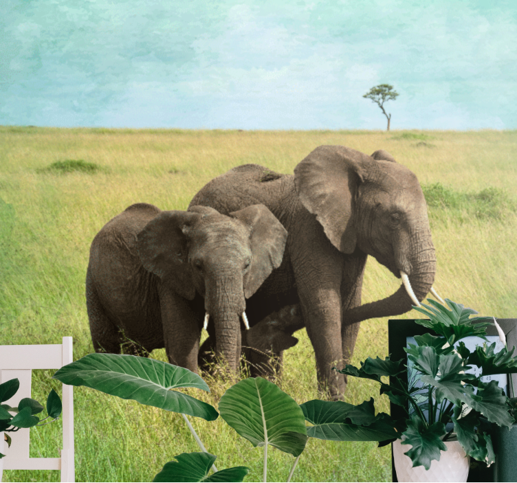 Animal mural elephants in grassland - TenStickers